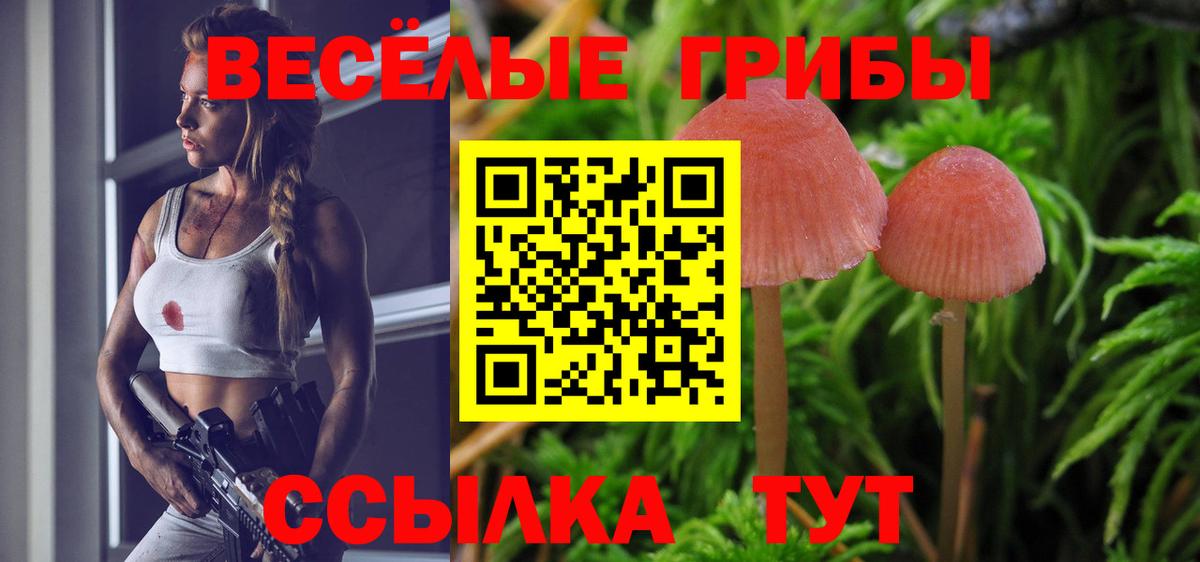 Псилоцибиновые грибы мухоморы Орехово-Зуево